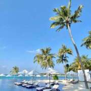 ヒメ日記 2025/07/19 11:35 投稿 かれん ギン妻パラダイス 堺東店