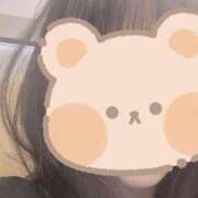 ヒメ日記 2025/09/17 13:51 投稿 かれん ギン妻パラダイス 堺東店