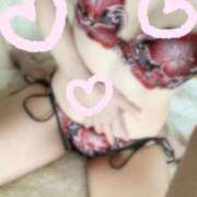 ヒメ日記 2025/04/15 17:06 投稿 村越　さよみ エテルナ京都