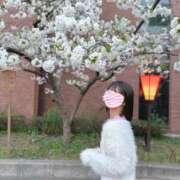 ヒメ日記 2025/04/18 18:50 投稿 冬月あさひ メンズエステ蒲田@彼女はエステシャン