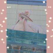 ヒメ日記 2026/03/24 12:37 投稿 久保田ひとみ メンズエステ蒲田@彼女はエステシャン