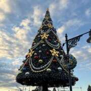 ヒメ日記 2025/12/24 21:12 投稿 ことみ 川越ぽちゃまに