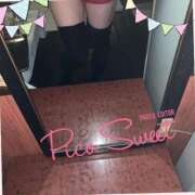 ヒメ日記 2025/07/08 08:07 投稿 篠原　順子 東京ローズマリー