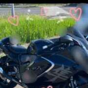 ヒメ日記 2025/12/20 08:07 投稿 篠原　順子 東京ローズマリー