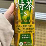 ヒメ日記 2025/12/27 16:37 投稿 篠原　順子 東京ローズマリー
