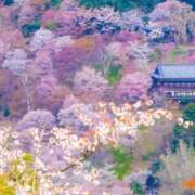 ヒメ日記 2026/04/10 08:07 投稿 篠原　順子 東京ローズマリー