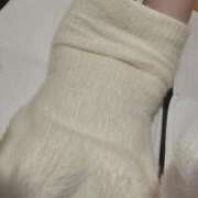 ヒメ日記 2025/01/07 08:19 投稿 篠原 ローズマリー大塚