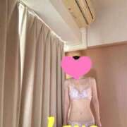 ヒメ日記 2025/08/03 08:24 投稿 篠原 ローズマリー大塚