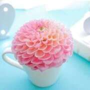 ヒメ日記 2025/10/26 08:24 投稿 篠原 ローズマリー大塚