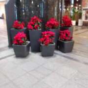 ヒメ日記 2024/12/21 14:37 投稿 井村琴葉 五十路マダム 博多店