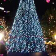 ヒメ日記 2024/12/23 11:35 投稿 井村琴葉 五十路マダム 博多店