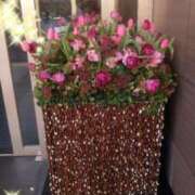 ヒメ日記 2025/02/01 20:57 投稿 井村琴葉 五十路マダム 博多店