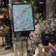 ヒメ日記 2025/02/15 11:27 投稿 井村琴葉 五十路マダム 博多店