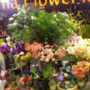 ヒメ日記 2025/02/21 10:07 投稿 井村琴葉 五十路マダム 博多店