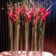 ヒメ日記 2025/02/24 00:17 投稿 井村琴葉 五十路マダム 博多店