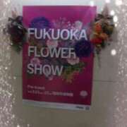 ヒメ日記 2025/03/08 22:47 投稿 井村琴葉 五十路マダム 博多店