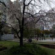 ヒメ日記 2025/03/30 18:39 投稿 井村琴葉 五十路マダム 博多店