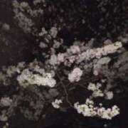 ヒメ日記 2025/04/01 23:27 投稿 井村琴葉 五十路マダム 博多店