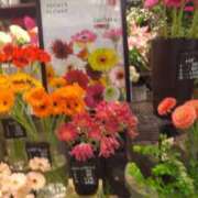 ヒメ日記 2025/04/21 09:57 投稿 井村琴葉 五十路マダム 博多店