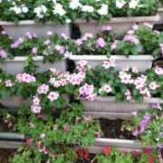 ヒメ日記 2025/07/19 09:48 投稿 井村琴葉 五十路マダム 博多店