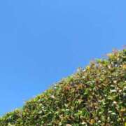 ヒメ日記 2025/07/28 13:47 投稿 井村琴葉 五十路マダム 博多店