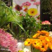 ヒメ日記 2025/11/03 01:37 投稿 井村琴葉 五十路マダム 博多店