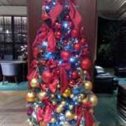 ヒメ日記 2025/11/04 15:07 投稿 井村琴葉 五十路マダム 博多店