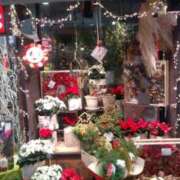 ヒメ日記 2025/12/12 15:06 投稿 井村琴葉 五十路マダム 博多店