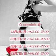 ヒメ日記 2025/12/01 12:11 投稿 華月蓮 マダムと紳士