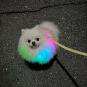 ヒメ日記 2025/02/03 12:43 投稿 うな★爆乳Gカップ＆濃厚プレイ Chloe鶯谷・上野店 S級素人清楚系デリヘル