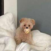 ヒメ日記 2025/02/08 03:00 投稿 うな★爆乳Gカップ＆濃厚プレイ Chloe鶯谷・上野店 S級素人清楚系デリヘル