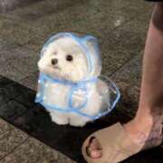 ヒメ日記 2025/02/12 03:40 投稿 うな★爆乳Gカップ＆濃厚プレイ Chloe鶯谷・上野店 S級素人清楚系デリヘル