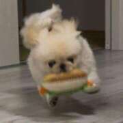 ヒメ日記 2025/02/26 19:23 投稿 うな★爆乳Gカップ＆濃厚プレイ Chloe鶯谷・上野店 S級素人清楚系デリヘル