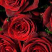 ヒメ日記 2025/02/03 08:27 投稿 山本 碧 CASA BIANCA（カーサ・ビアンカ）