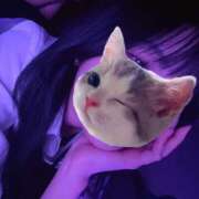 なぎ こんにちは Paradis-パラディ-