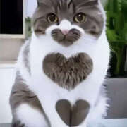 ヒメ日記 2024/12/19 14:54 投稿 なみえ 美熟女倶楽部Hip's 春日部店