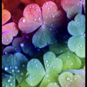 ヒメ日記 2025/01/08 14:04 投稿 なみえ 美熟女倶楽部Hip's 春日部店