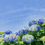 ヒメ日記 2025/07/14 21:35 投稿 なみえ 美熟女倶楽部Hip's 春日部店