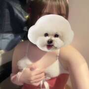 ヒメ日記 2024/12/29 19:37 投稿 るい VIVID CREW Pink Party Paradise