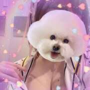 ヒメ日記 2025/01/18 15:59 投稿 るい VIVID CREW Pink Party Paradise