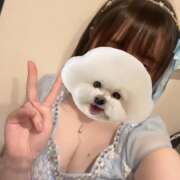 ヒメ日記 2025/01/20 21:21 投稿 るい VIVID CREW Pink Party Paradise