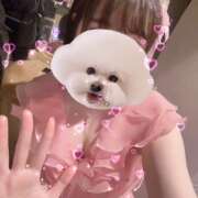 ヒメ日記 2025/01/23 00:36 投稿 るい VIVID CREW Pink Party Paradise