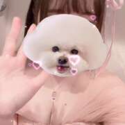 ヒメ日記 2025/01/23 23:58 投稿 るい VIVID CREW Pink Party Paradise