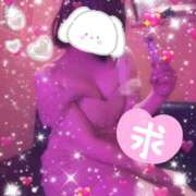 ヒメ日記 2025/02/06 14:50 投稿 るい VIVID CREW Pink Party Paradise