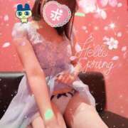 ヒメ日記 2025/04/03 12:00 投稿 るい VIVID CREW Pink Party Paradise