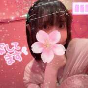 ヒメ日記 2025/04/10 14:16 投稿 るい VIVID CREW Pink Party Paradise