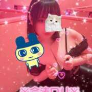 ヒメ日記 2025/04/13 14:18 投稿 るい VIVID CREW Pink Party Paradise