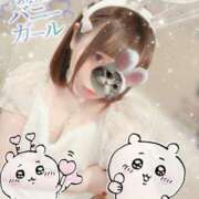 ヒメ日記 2025/04/14 15:42 投稿 るい VIVID CREW Pink Party Paradise