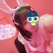 ヒメ日記 2025/04/14 23:08 投稿 るい VIVID CREW Pink Party Paradise