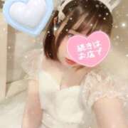 ヒメ日記 2025/04/17 11:14 投稿 るい VIVID CREW Pink Party Paradise